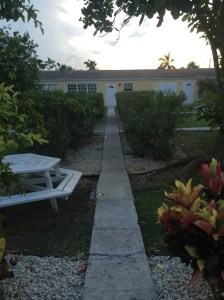 The path to the back