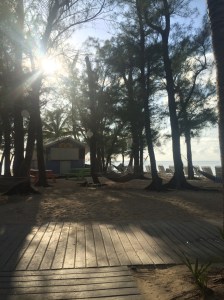 I just wanted to take a nap in a hammock